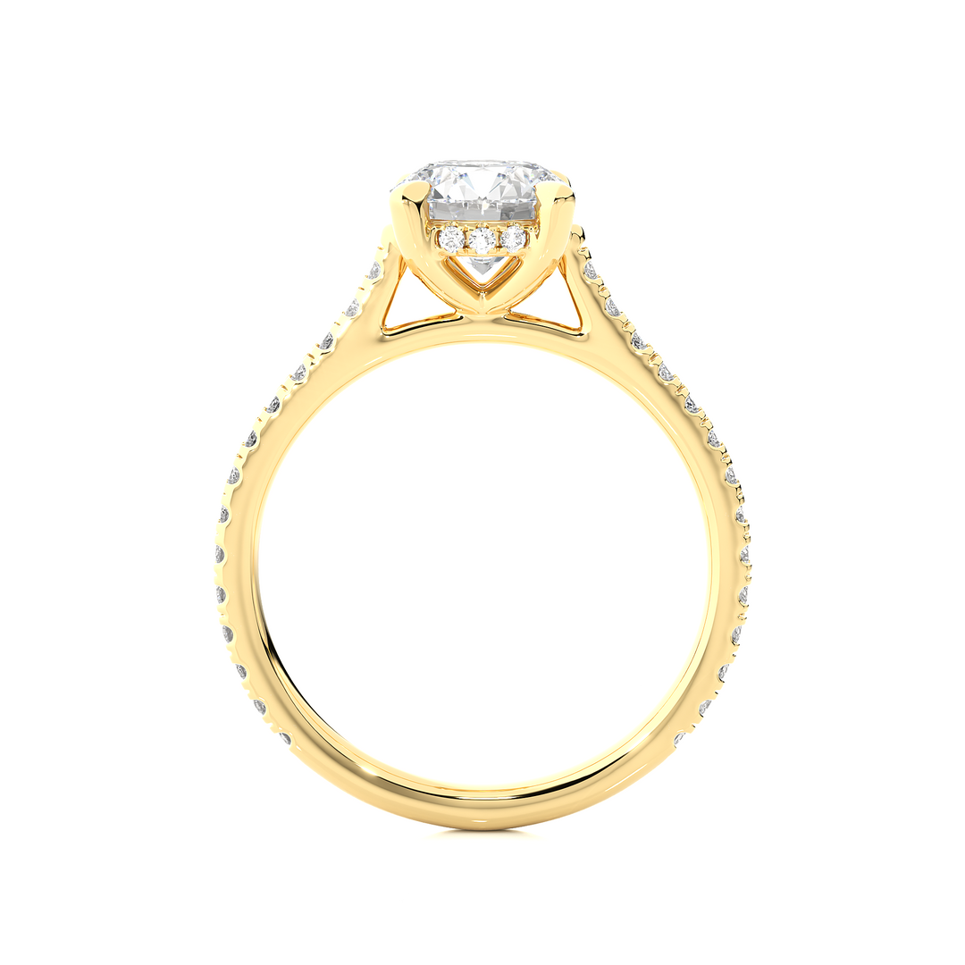 Stellar Pave Band Round Solitaire Ring