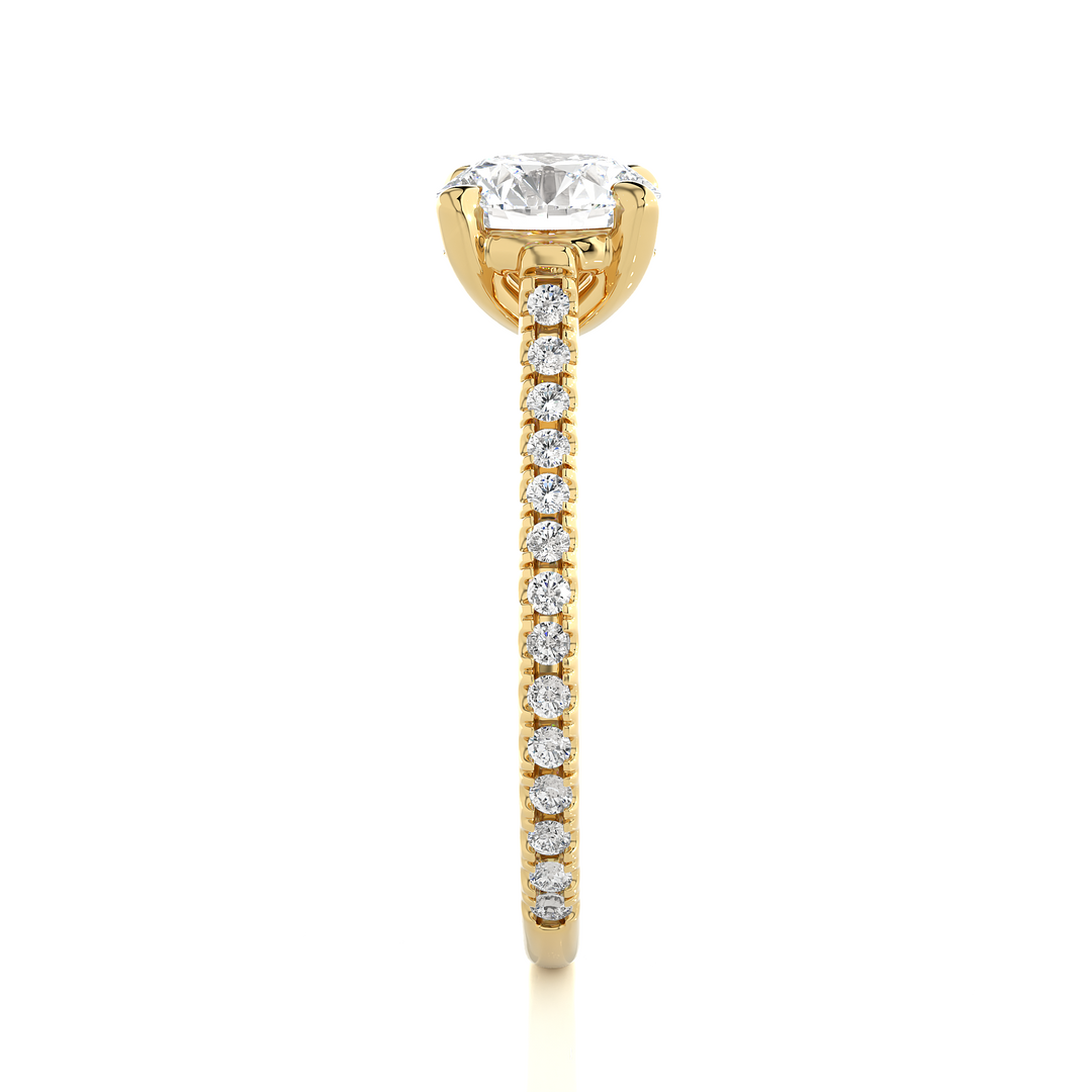 Stellar Pave Band Round Solitaire Ring